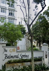 The Balmoral Spring (D10), Apartment #501169671